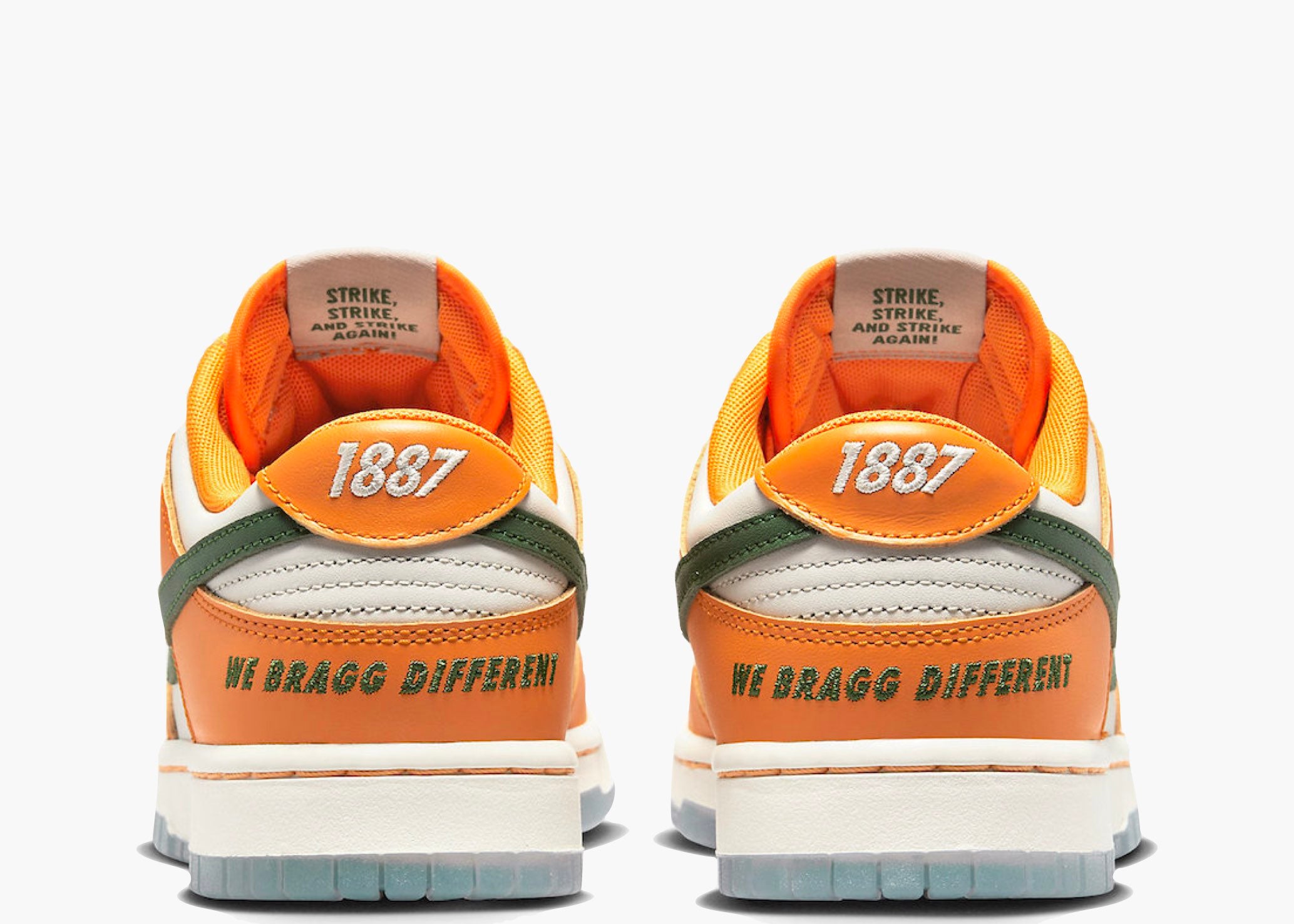 Nike Dunk Low Florida A&M University