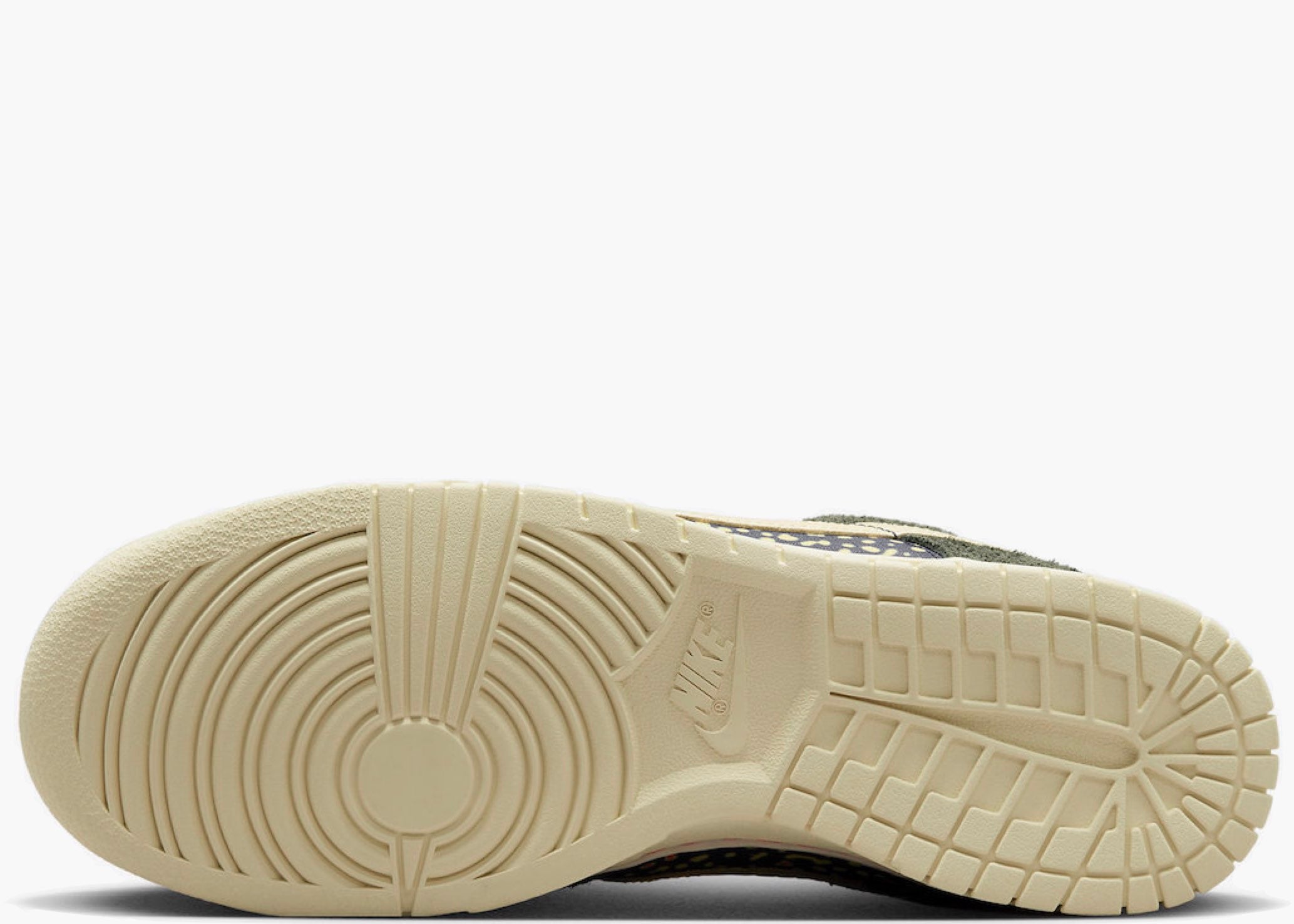 Nike Dunk Low SE Gone Fishing Rainbow Trout FN7523-300 Hype Clothinga Limited Edition