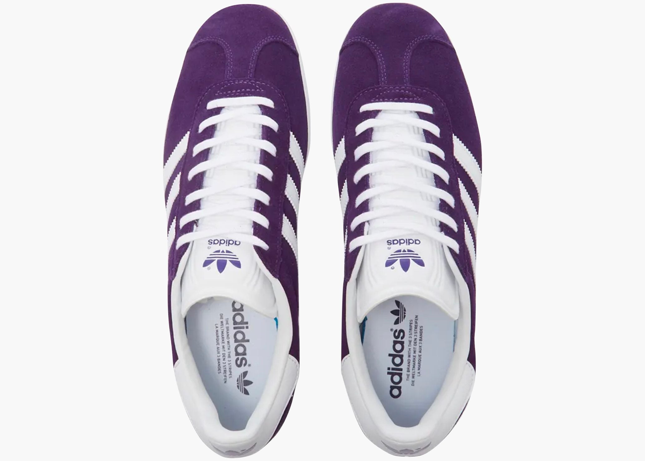 adidas Gazelle Rich Purple Hype Clothinga Limited Edition